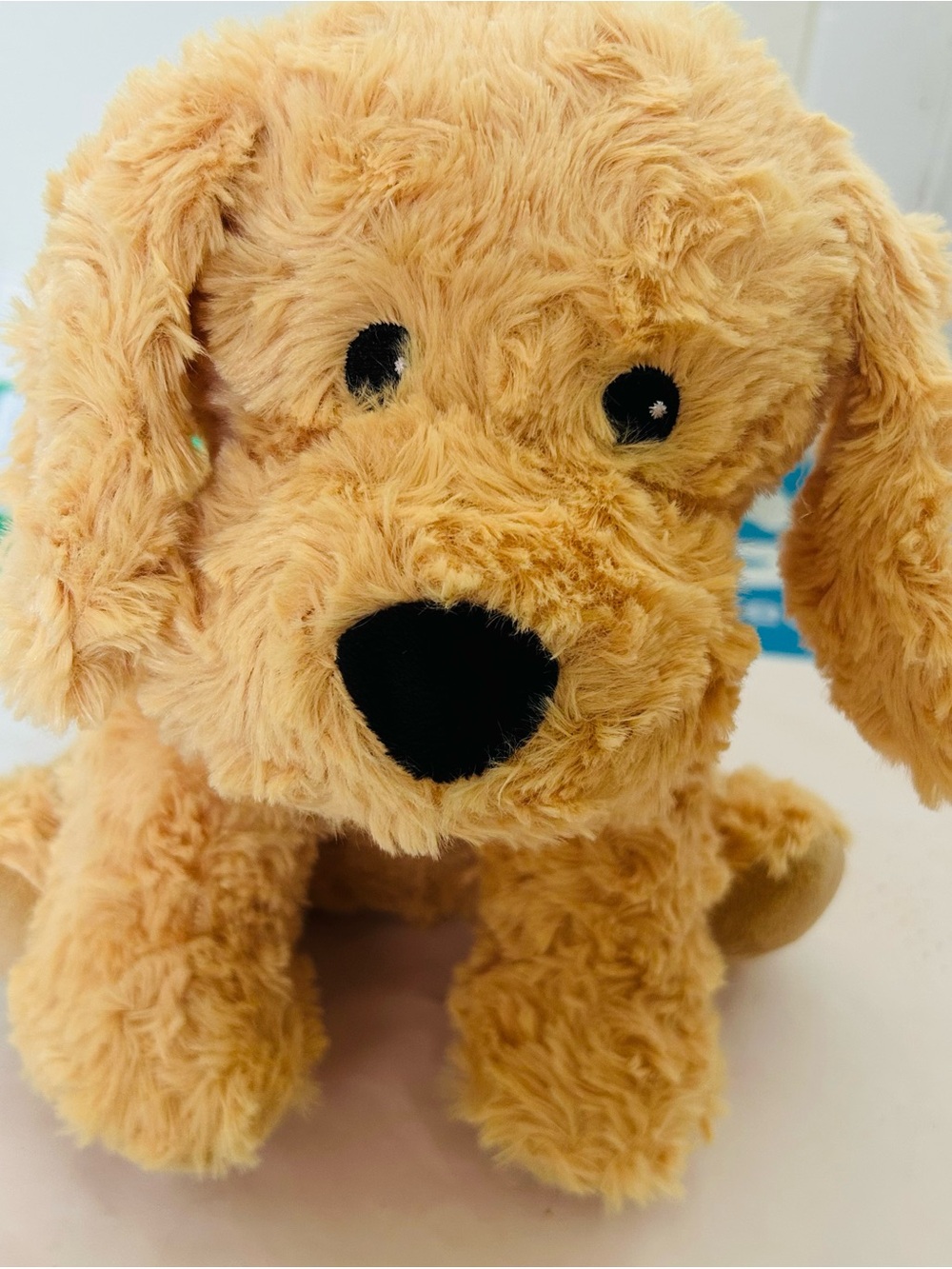 Warmies heatable plush golden dog scented